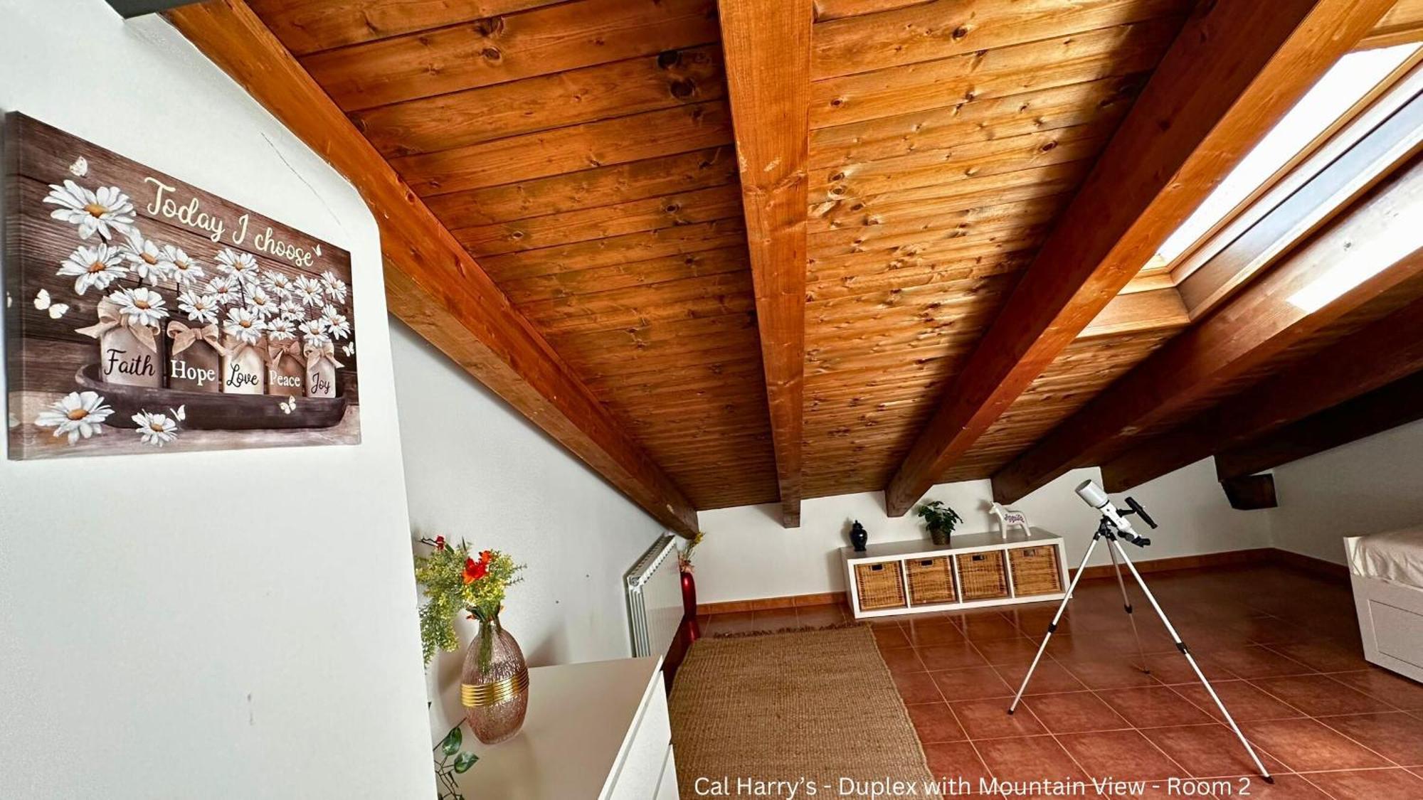 Cal Harrys - La Mejor Casa De Vacaciones En Pyrenees Con Vistas A La Montana Сан-Пау-де-Сегуриес Экстерьер фото