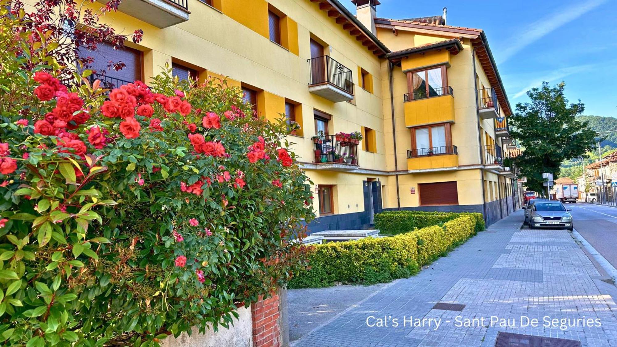 Cal Harrys - La Mejor Casa De Vacaciones En Pyrenees Con Vistas A La Montana Сан-Пау-де-Сегуриес Экстерьер фото